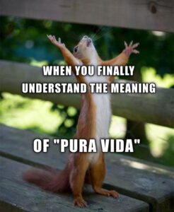What is Pura Vida
