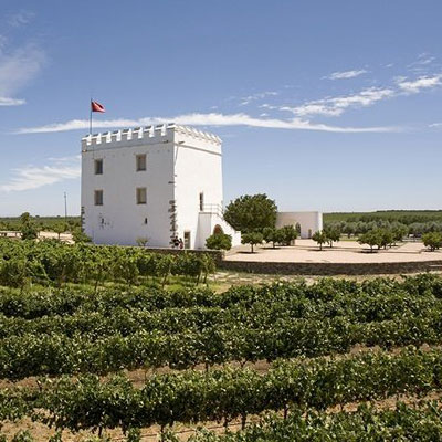 Best Wineries in Portugal Herdade-do-Esporao
