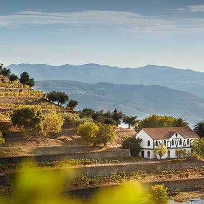 Best Wineries in Portugal Quinta-do-Noval