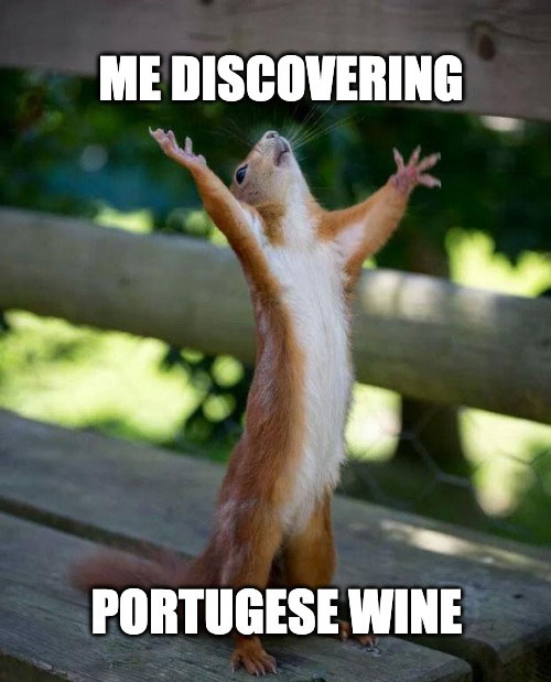 Best Wine in Portugal 