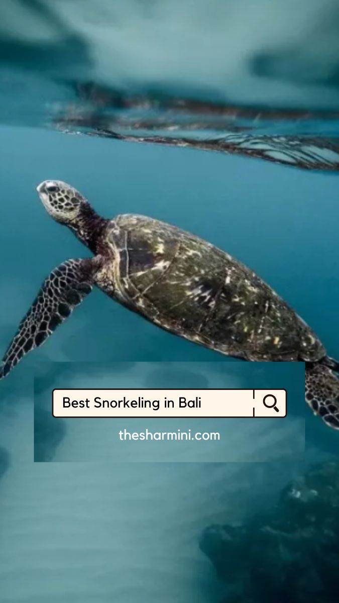 Best Snorkeling Spots in Bali