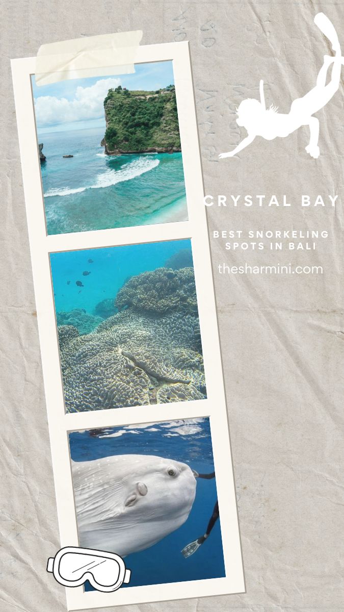 Best Snorkeling Spots in Bali Crystal Bay