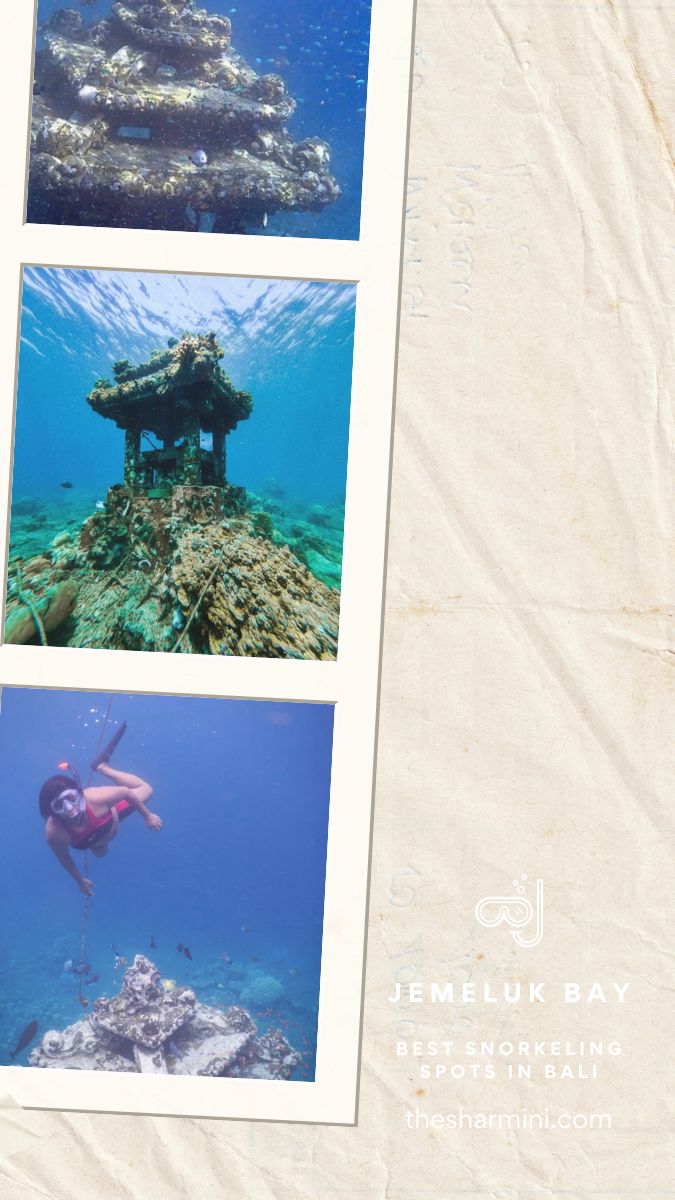 Best Snorkeling Spots in Bali Jemeluk Bay