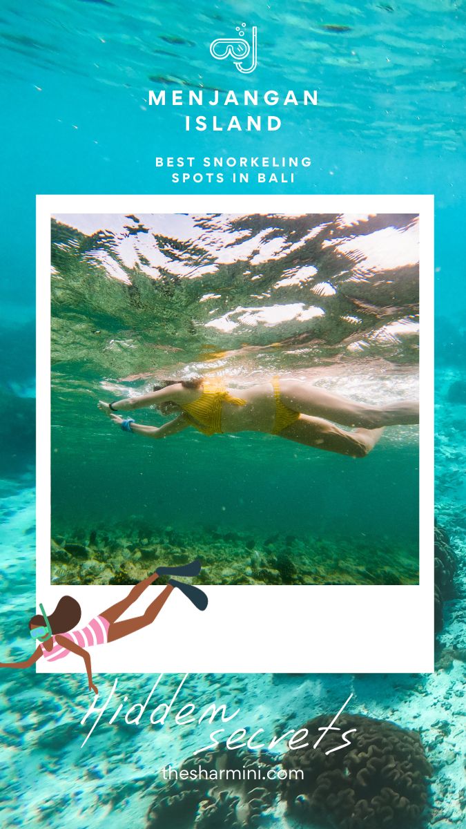 Best Snorkeling Spots in Bali Menjangan Island