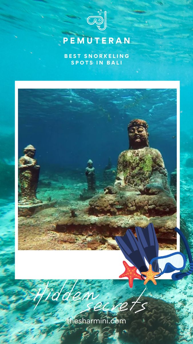 Best Snorkeling Spots in Bali Pemuteran