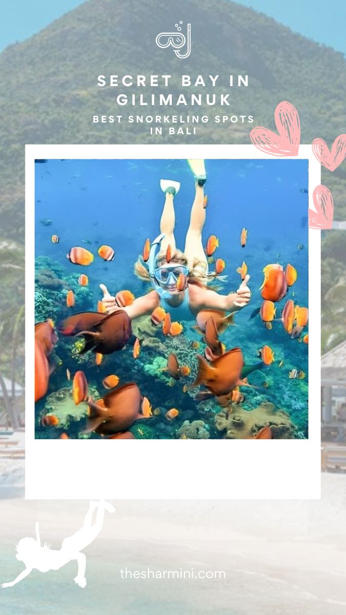 Best Snorkeling Spots in Bali Secret Bay in Gilimanuk